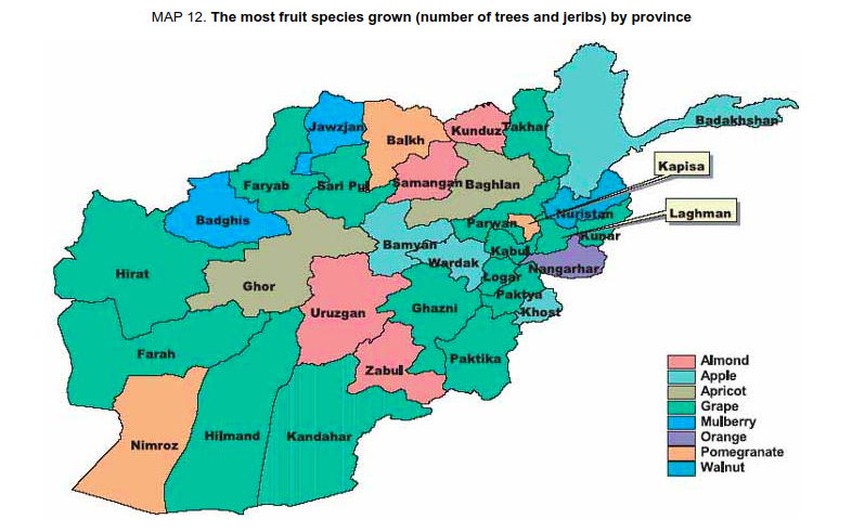 Fruit production by region